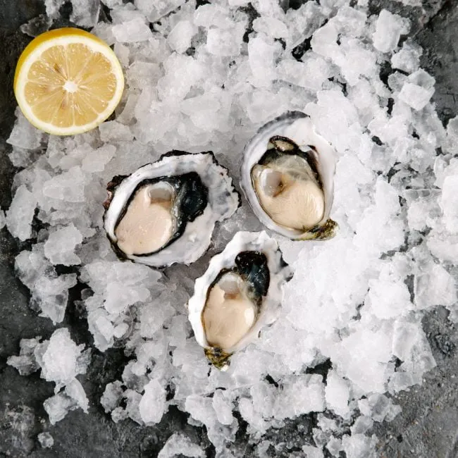 1 Dozen Large Oysters - Blackmans Bay Tasmania