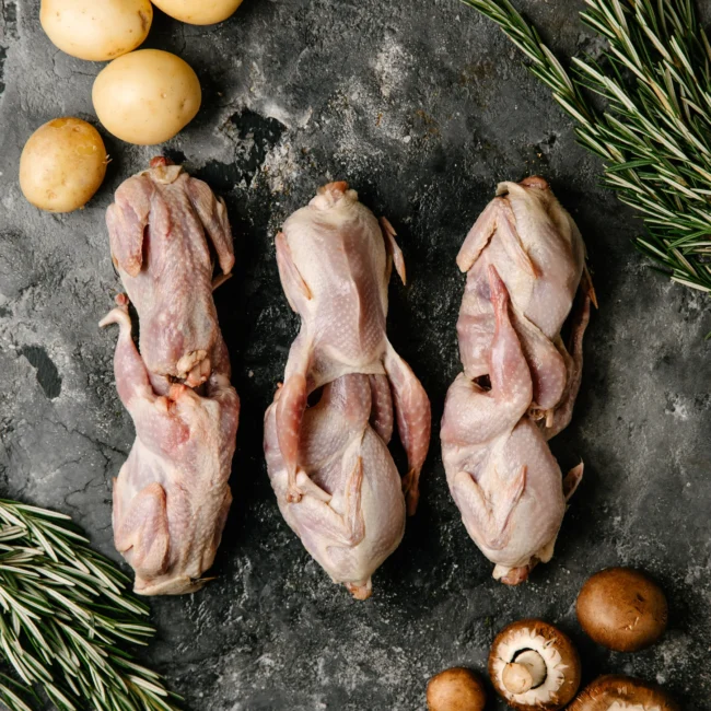 Quails