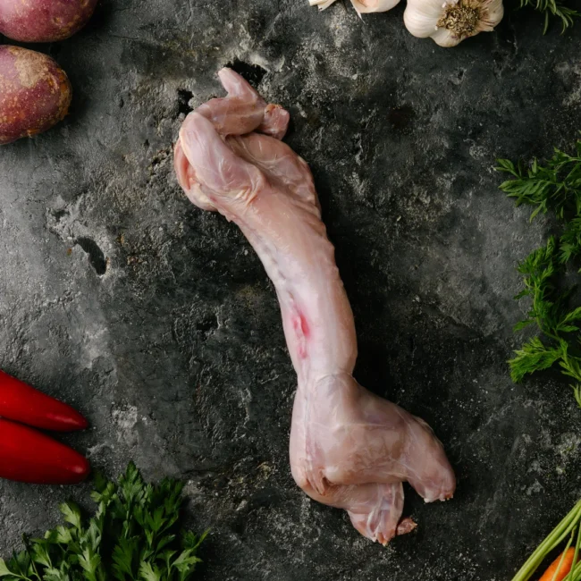 Wild Rabbit
